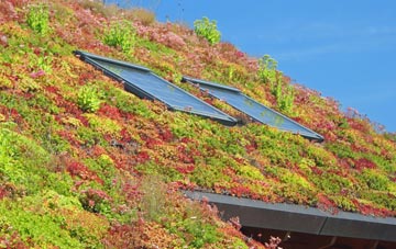 Dubwath living roof systems