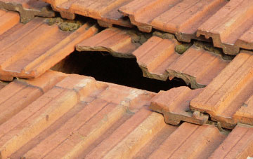 roof repair Dubwath, Cumbria