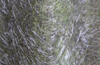 Dubwath fibreglass roof work